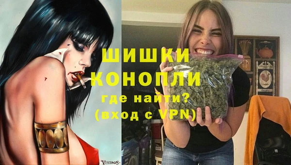 дживик Аркадак