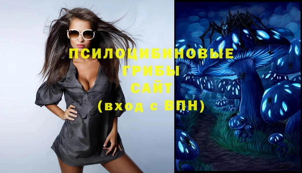 винт Арсеньев